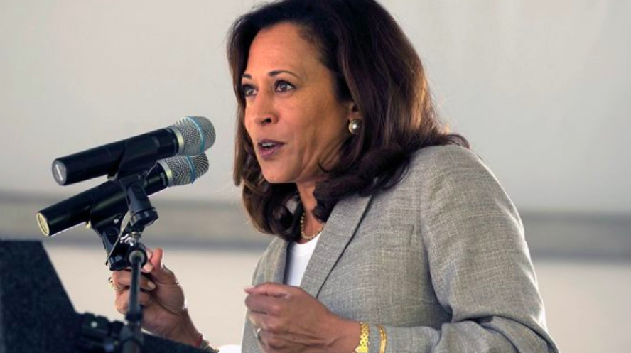 McShane on Fox News: 2020 Dems play to the base by voting to extend government shutdown